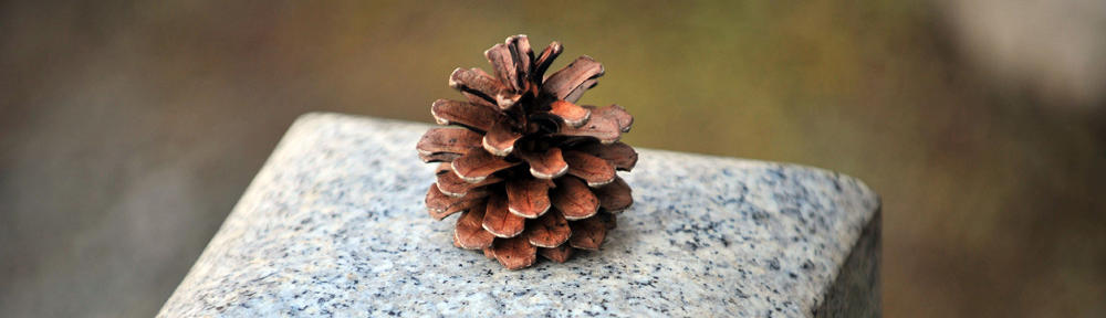 ccrj